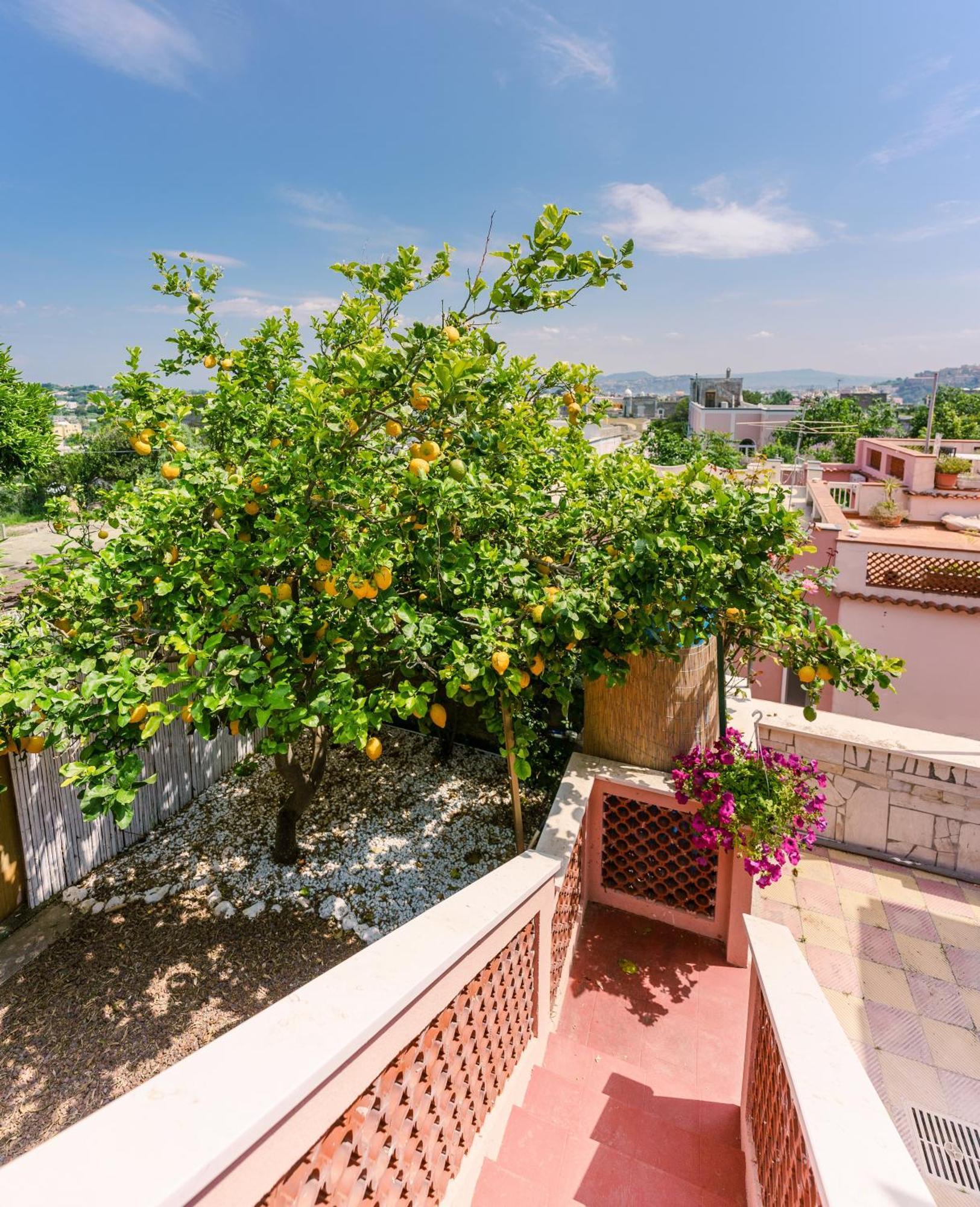 Le Jardin Bed & Breakfast Procida Bagian luar foto